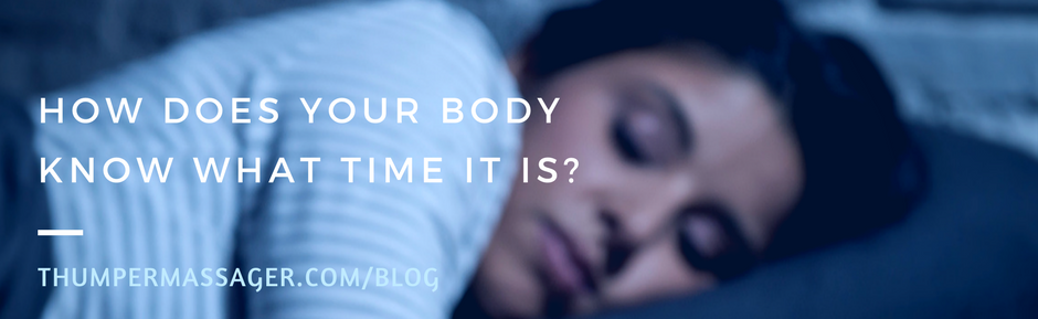 How does your body know what time it is?