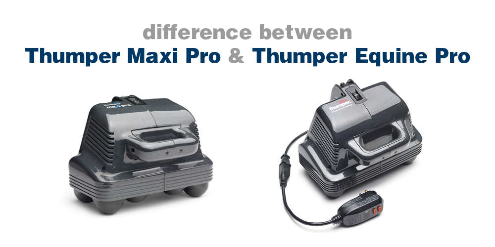 The Difference Between the Thumper Maxi Pro & the Thumper Equine Pro