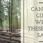 Can you guess what these signs say-